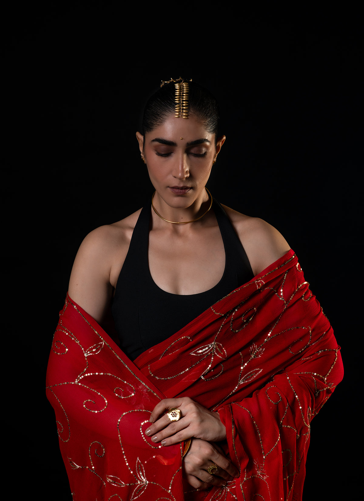 Harvest - Red Silk Chiffon Embroidered Saree